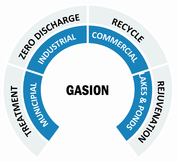 gasion market