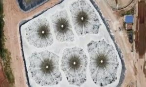 Aerator selection